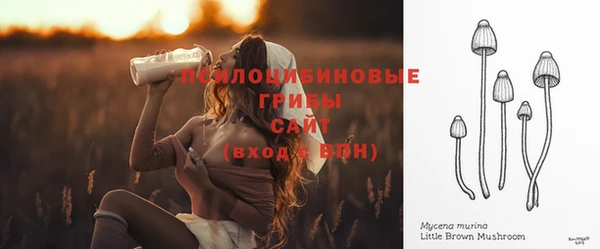 первитин Елабуга