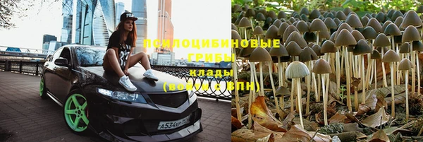 альфа пвп Елизово