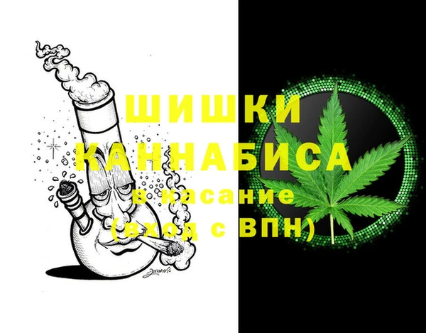 mdpv Заводоуковск