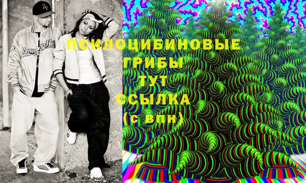 альфа пвп Елизово