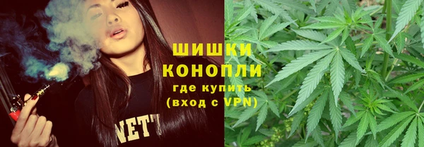 ПСИЛОЦИБИНОВЫЕ ГРИБЫ Заволжье
