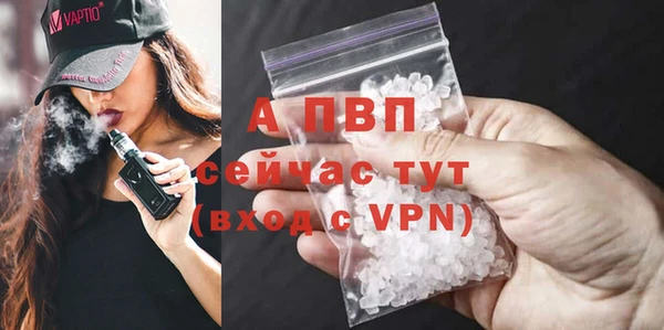 ПСИЛОЦИБИНОВЫЕ ГРИБЫ Заволжье