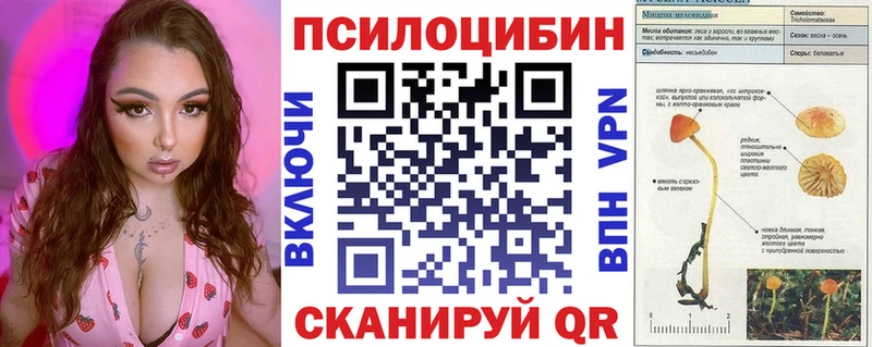 KRAKEN сайт  Избербаш  Галлюциногенные грибы прущие грибы 