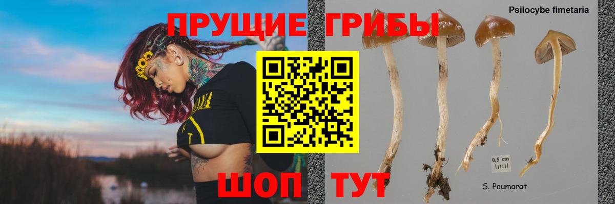Галлюциногенные грибы ЛСД Избербаш